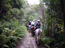 New Zealand-North Island-Trans New Zealand Ride - Coast to Coast